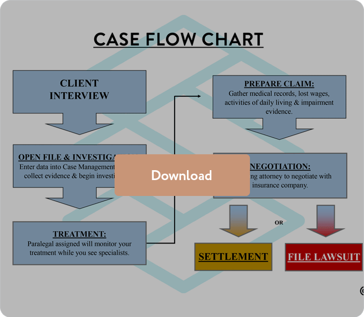 Case Flow Chart