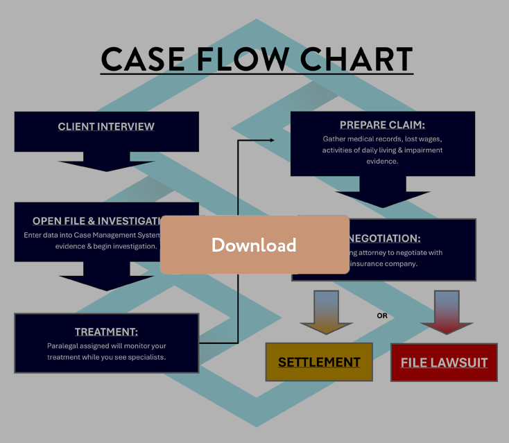 Case Flow Chart